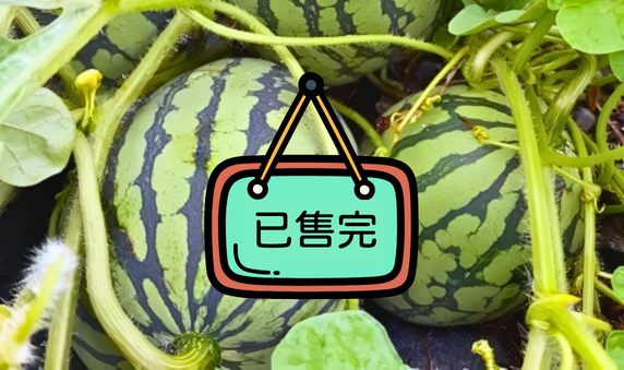 御香農場小西瓜（2顆含運）