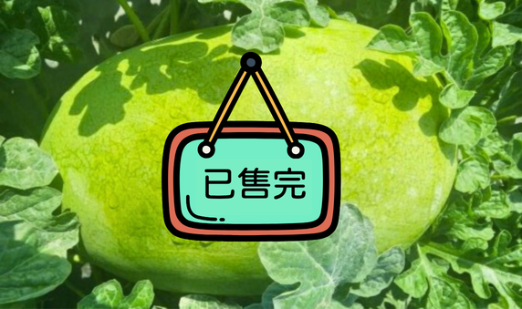 香水大西瓜 特級 (30斤以上+-2斤)