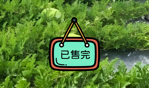 香水大西瓜 特A級 (25+-2斤)